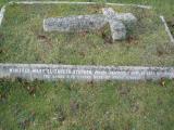 image of grave number 50736